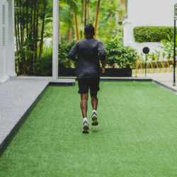 gingerbread man sprints