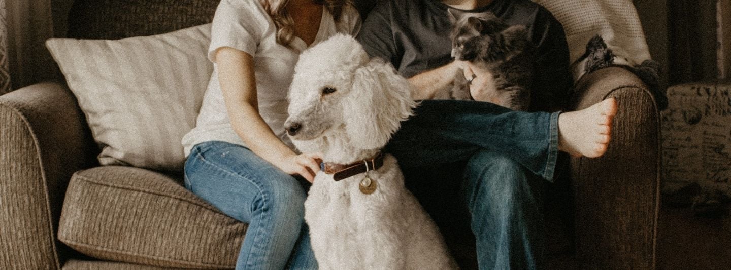 5 Reasons Why You Should Date an Animal Lover