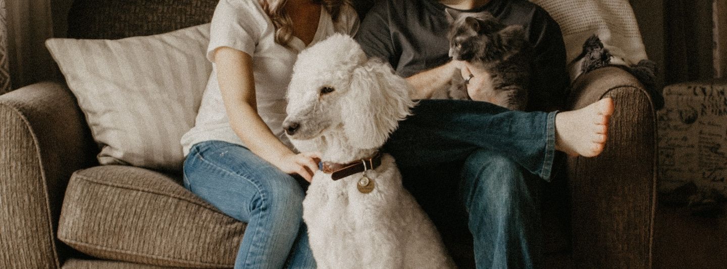 5 Reasons Why You Should Date an Animal Lover 5 Reasons Why You Should Date an Animal Lover