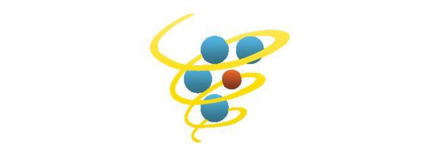 Banner_Wellness_ChildrensPartnership